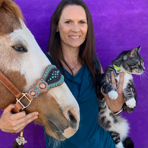 Dr. Veronica Welter, Kingman Veterinarian